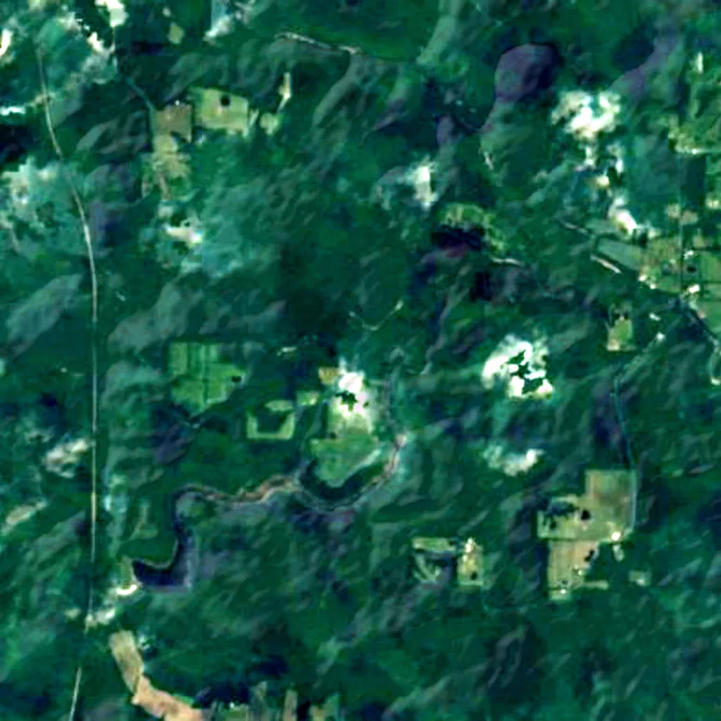 Shawnee National Forest seen from above (Sentinel-2)