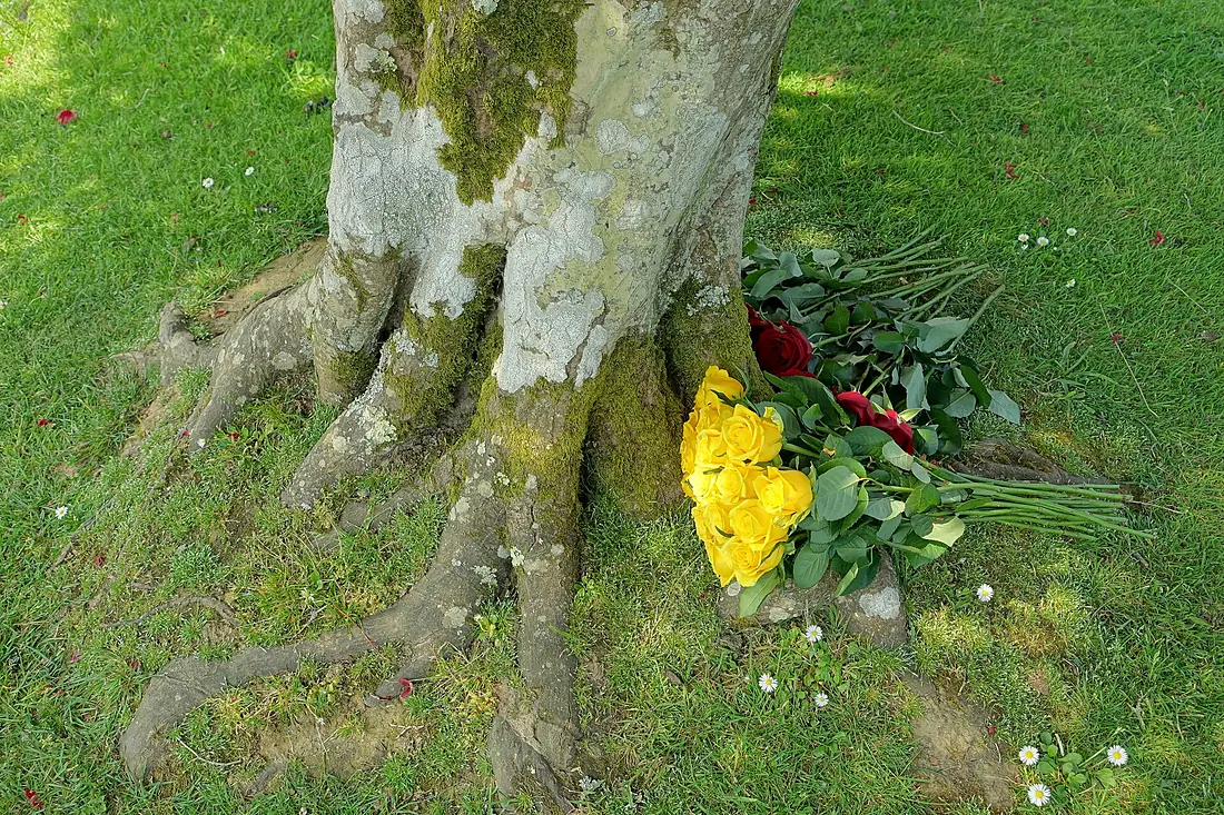 Bouquets - Sheffield Park and Garden - East Sussex, England - DSC05530