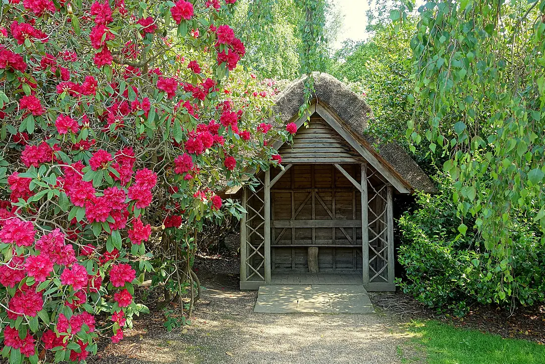 Hut - Sheffield Park and Garden - East Sussex, England - DSC05410