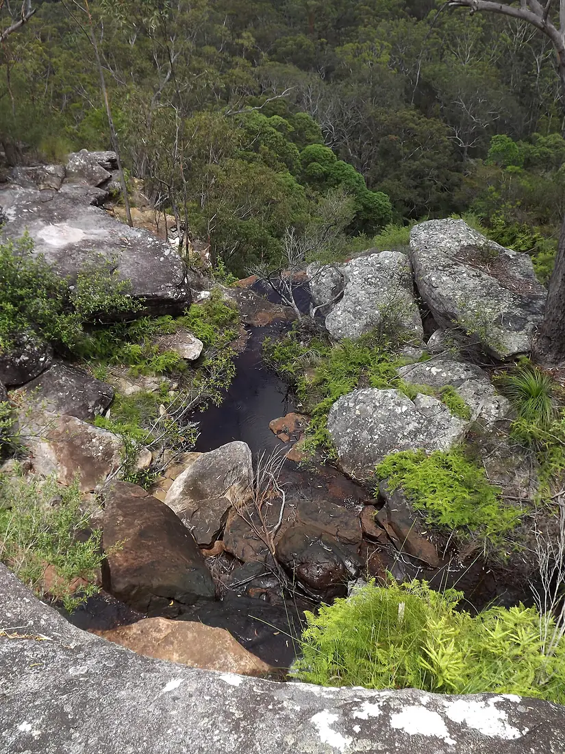 Falls Trail - panoramio (1)