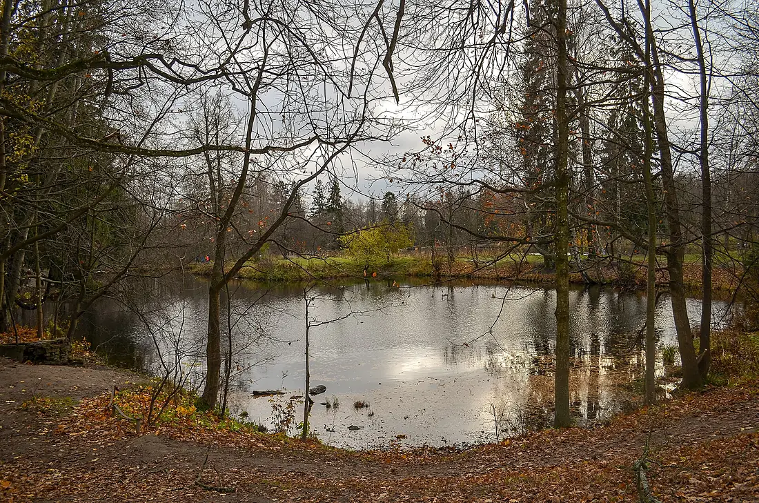 0311Aa. St. Petersburg. Shuvalovsky Park