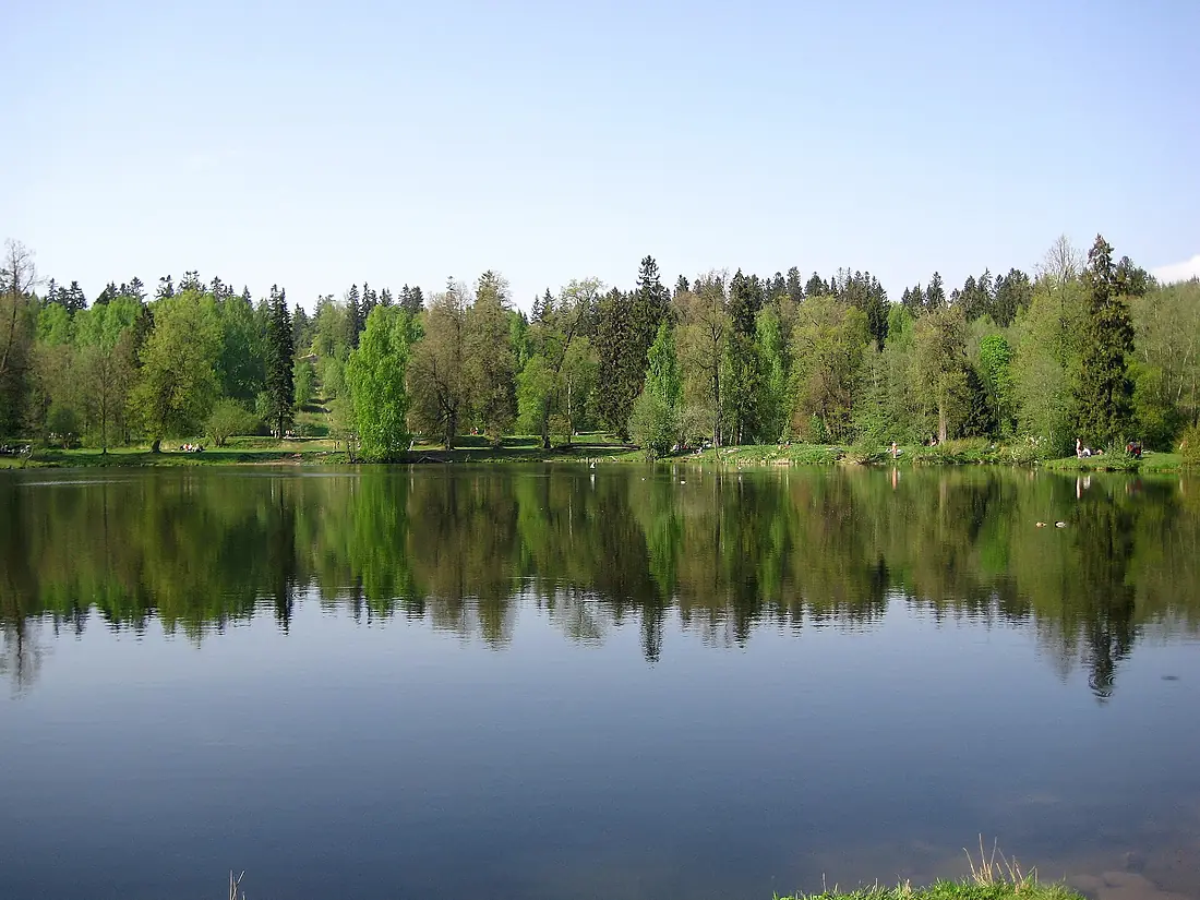 2378. St. Petersburg. Pond Shirt of Napoleon
