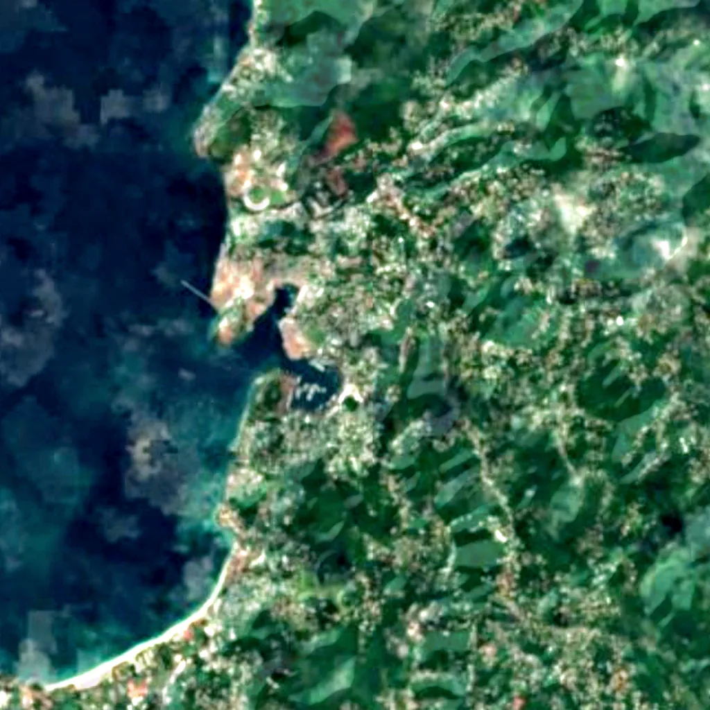Sir Eric Matthew Gairy Botanical Gardens seen from above (Sentinel-2)