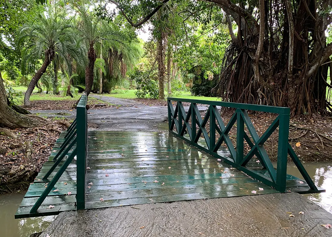 Footbridge at Sir Seewoosagur Ramgoolam Botanical Garden