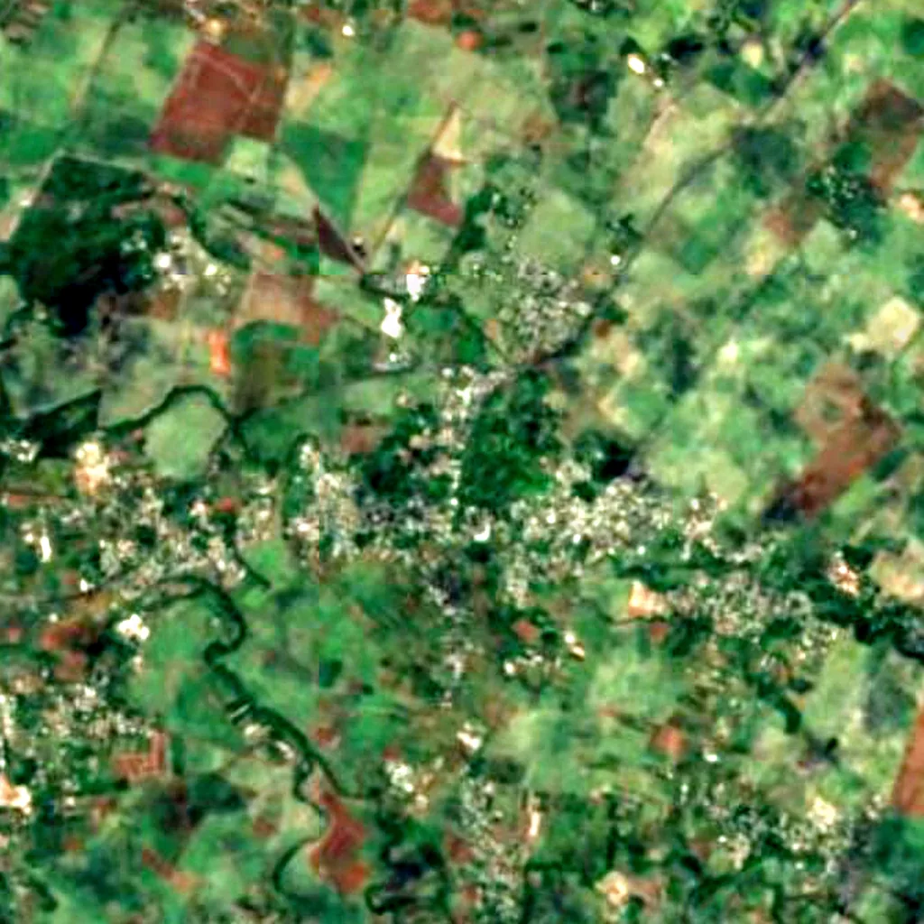 Sir Seewoosagur Ramgoolam Botanical Garden seen from above (Sentinel-2)