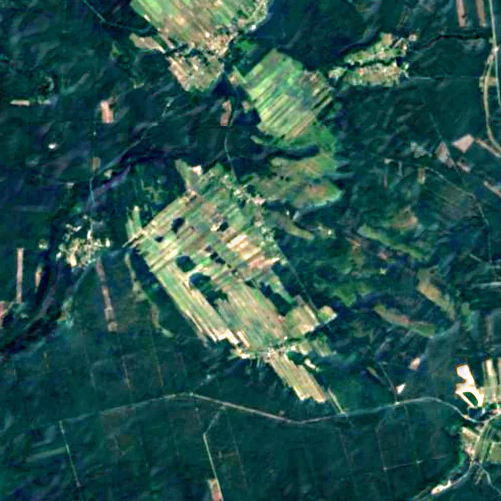 Solska Wilderness seen from above (Sentinel-2)