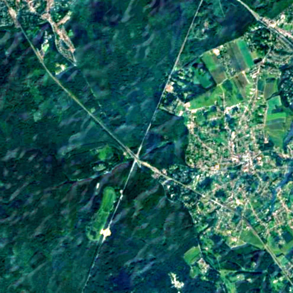 Sonian Forest seen from above (Sentinel-2)