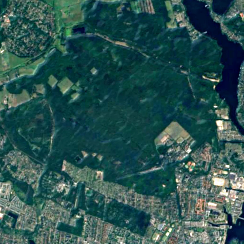 Spandauer Forst seen from above (Sentinel-2)