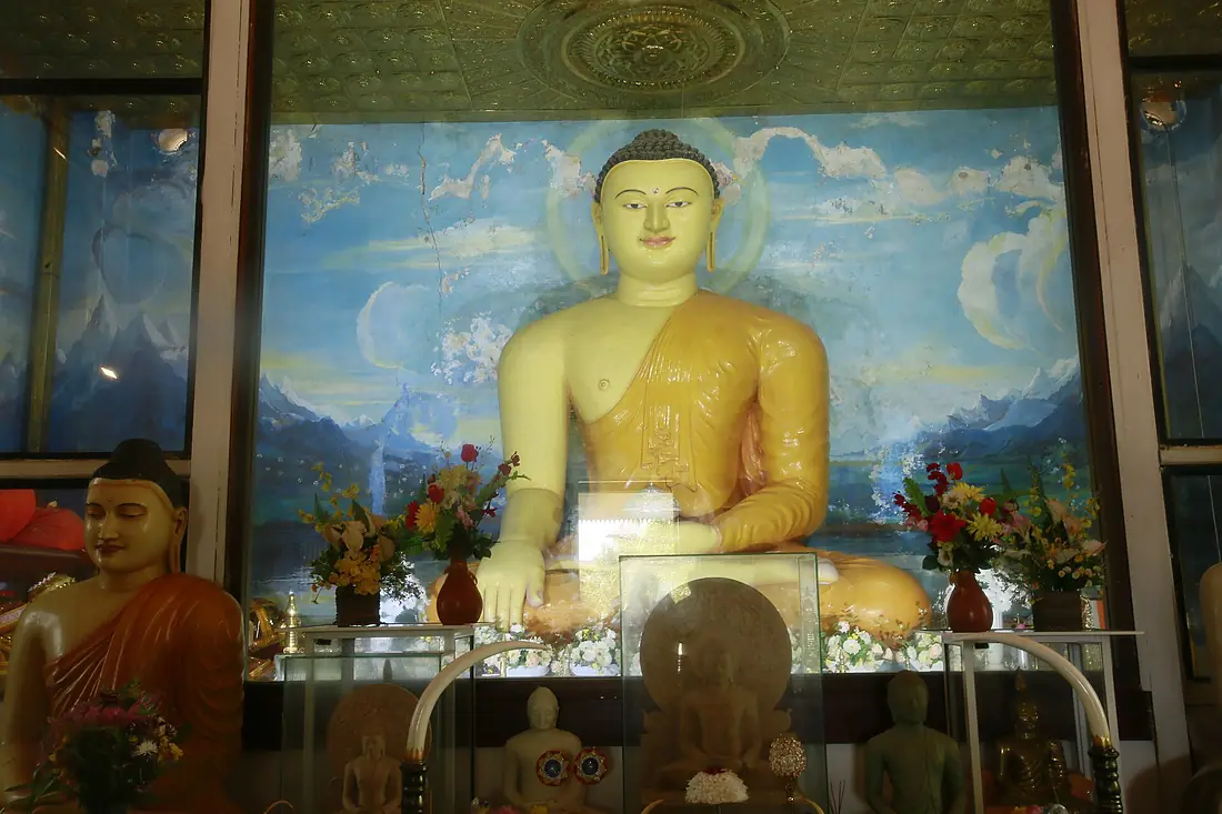 Bodhi Tree Image House Buddha 2021