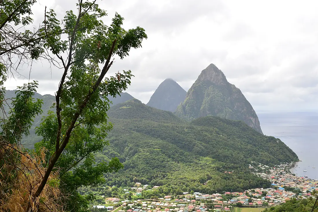 Palmiste, Saint Lucia - panoramio