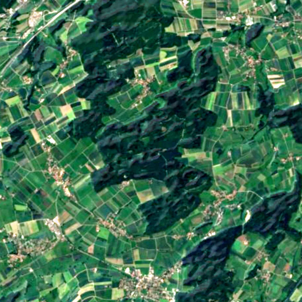 Staatswald Galm seen from above (Sentinel-2)