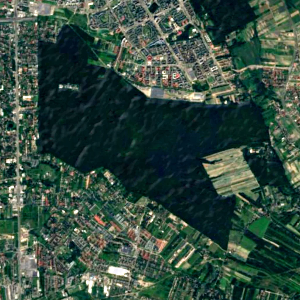 Stefan Starzynski Nature reserve Kabacki forest seen from above (Sentinel-2)