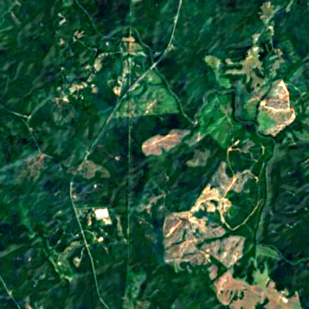 Sumter National Forest seen from above (Sentinel-2)
