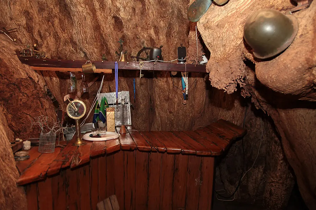 Inside the Sunland Baobab tree, Limpopo, South Africa (5613332104)