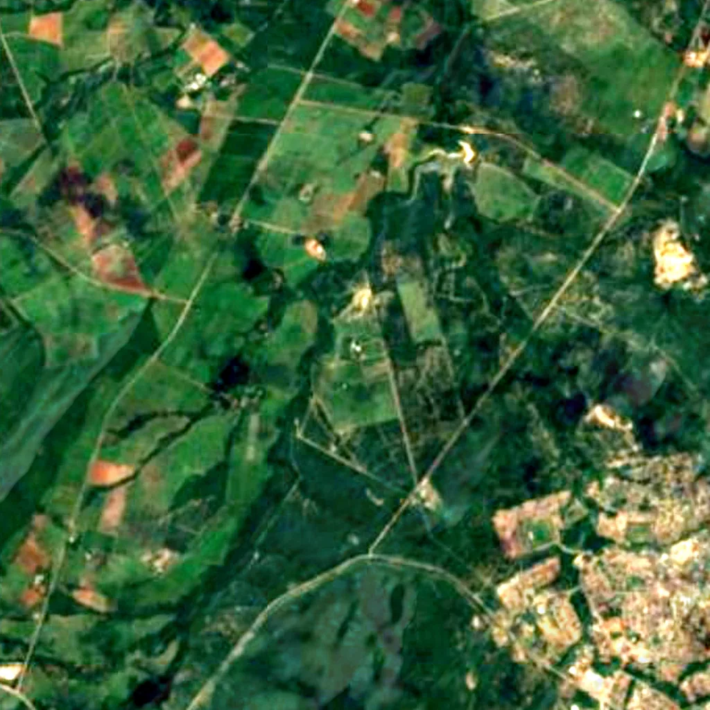 Sunland Baobab seen from above (Sentinel-2)