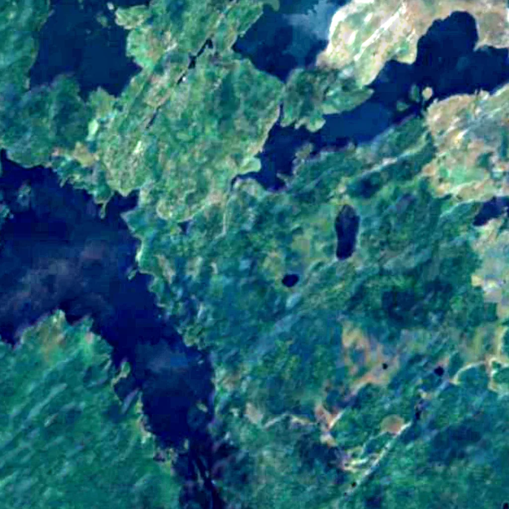 Superior National Forest seen from above (Sentinel-2)