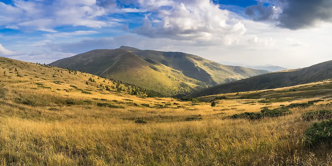 Масив Близниці