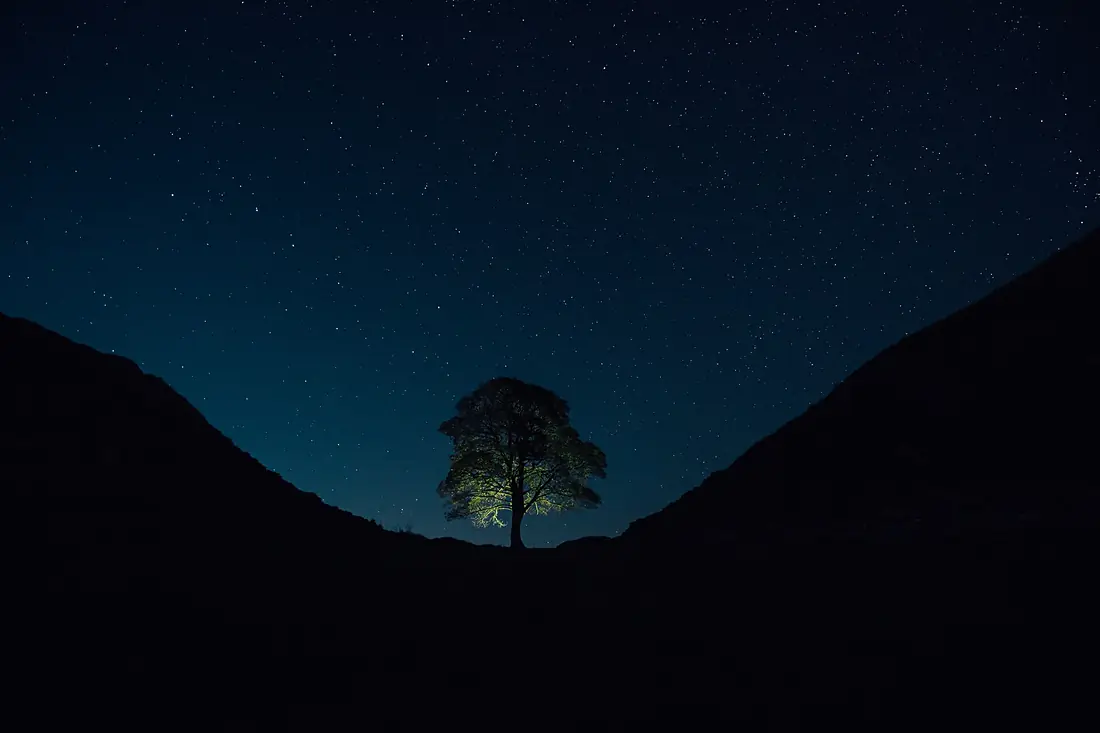 Sycamore Gap Tree by night