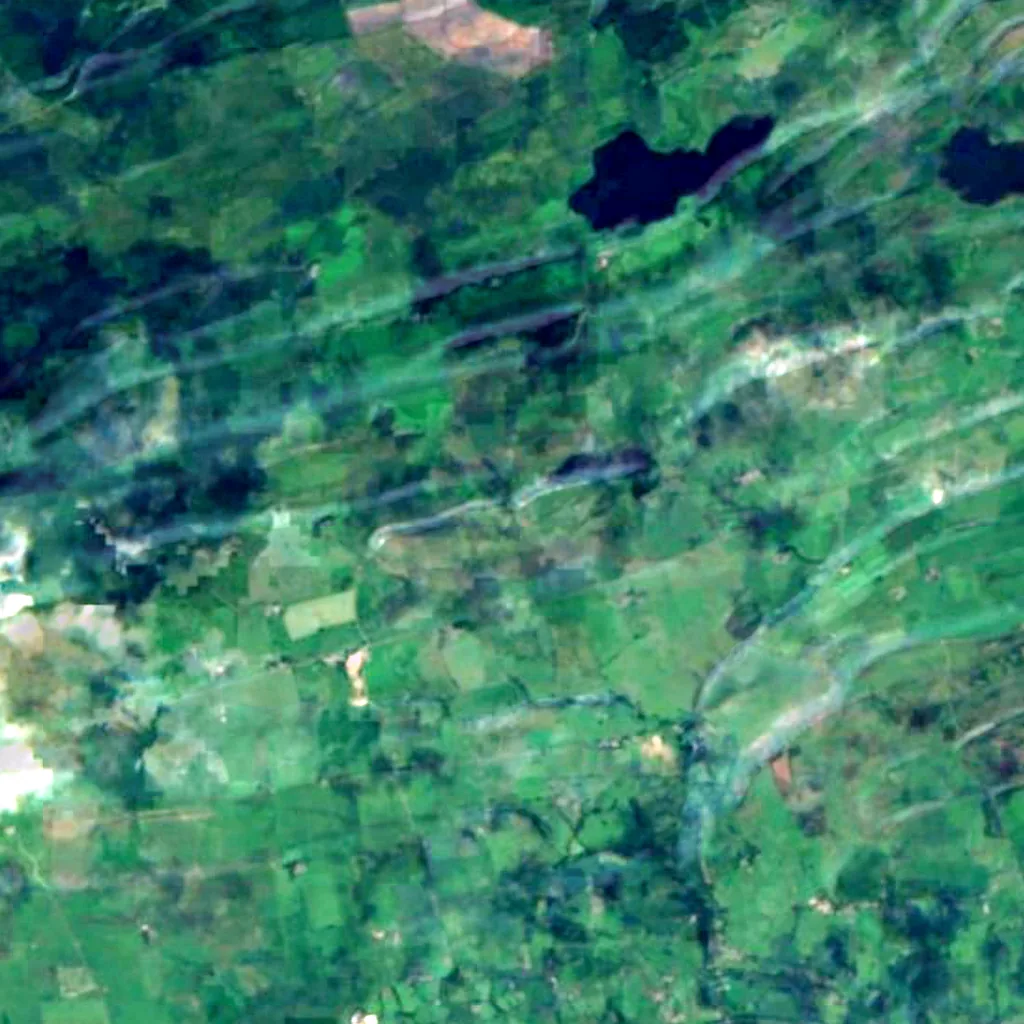Sycamore Gap Tree seen from above (Sentinel-2)