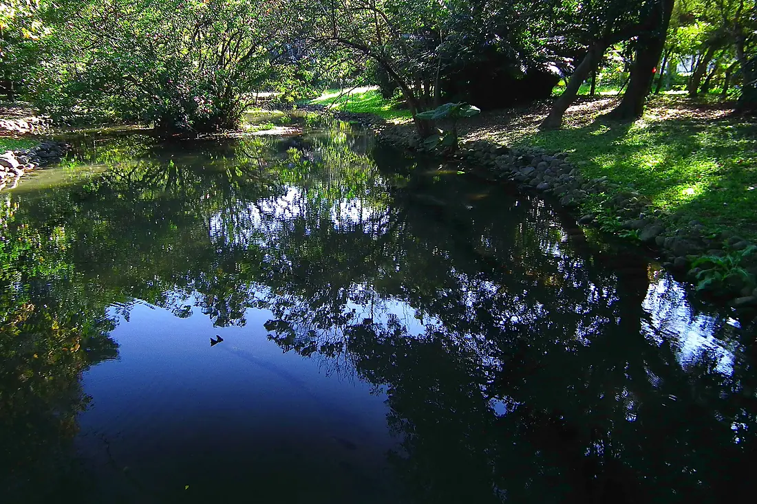 台北植物園 Taipei Botanical Garden - panoramio (1)