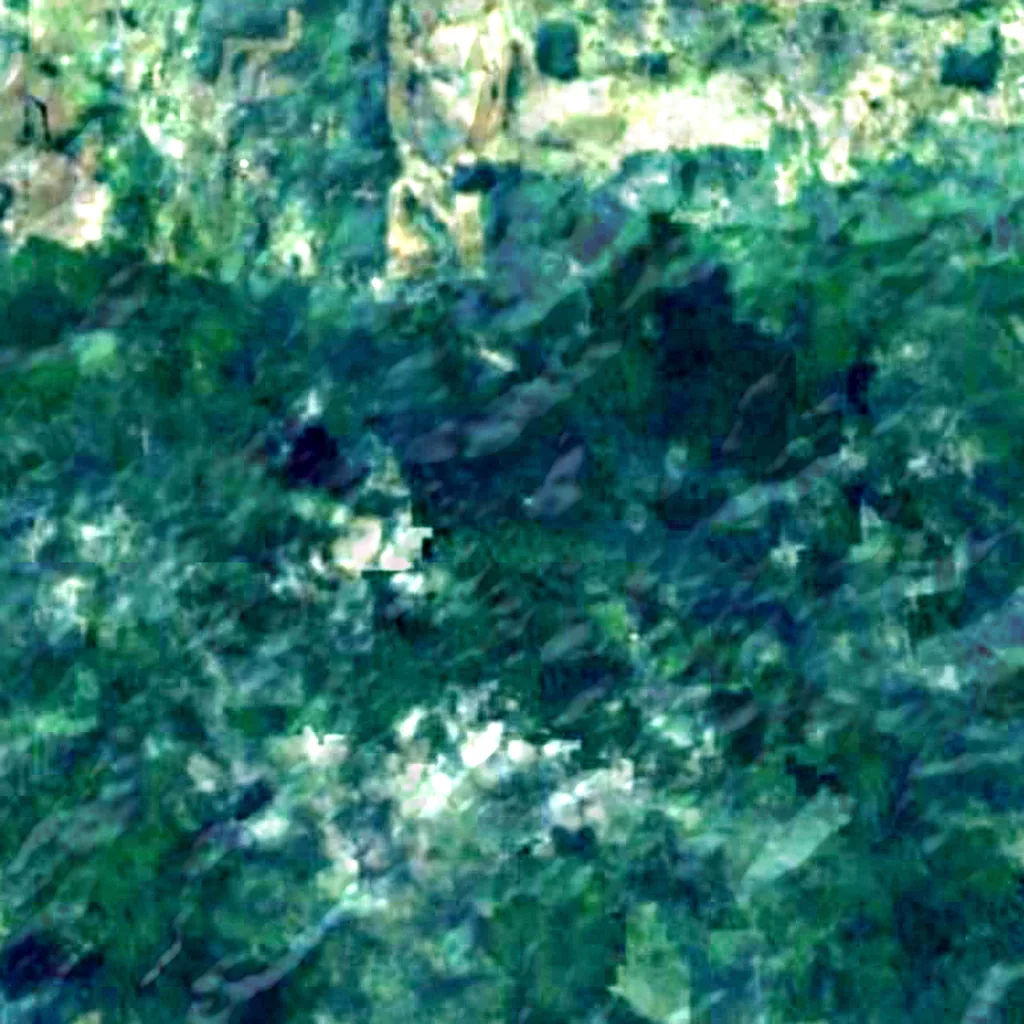 Tane Mahuta seen from above (Sentinel-2)