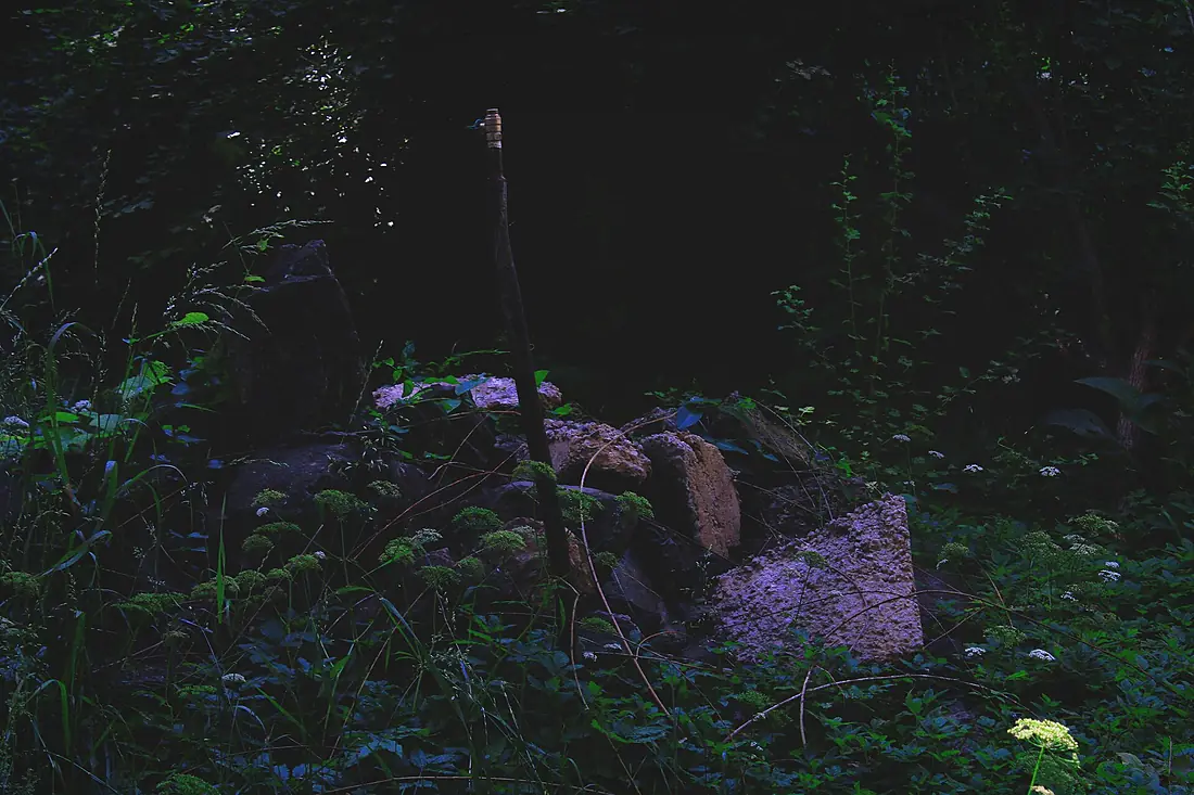 A dark place with nature in Tashkent Botanical Garden