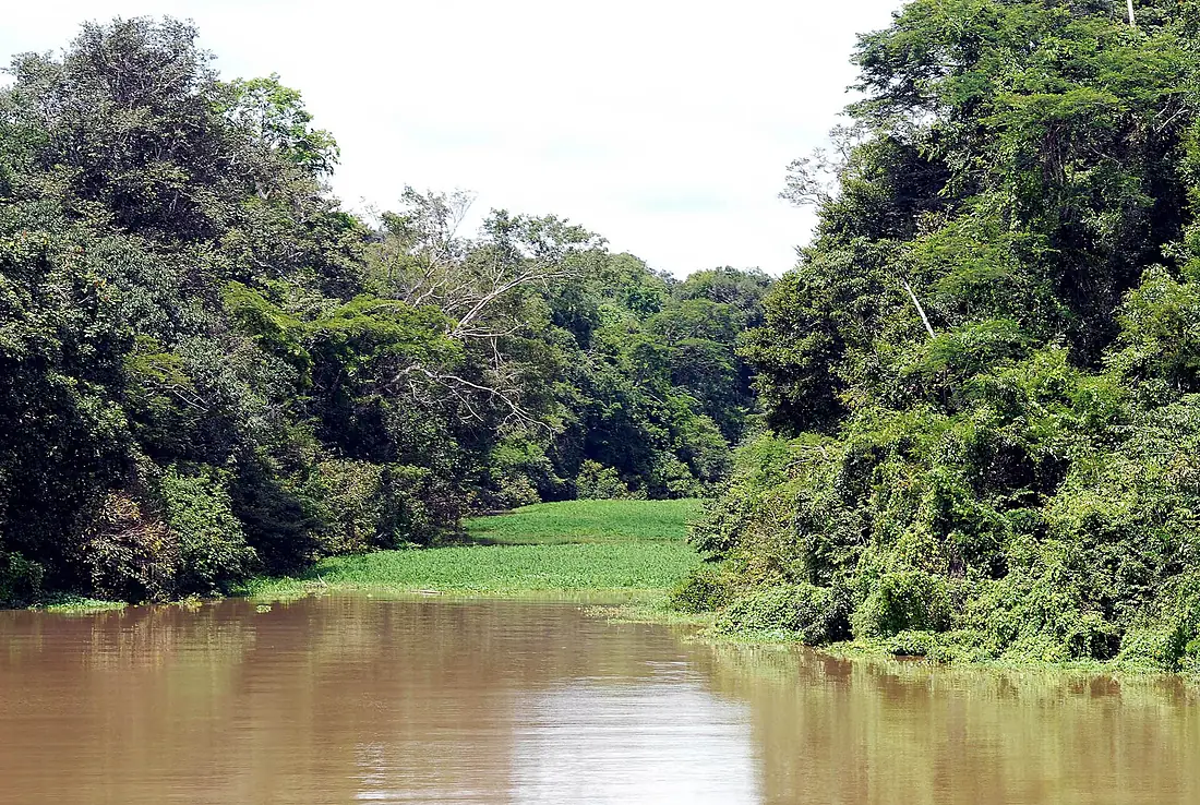 Rio Tefe