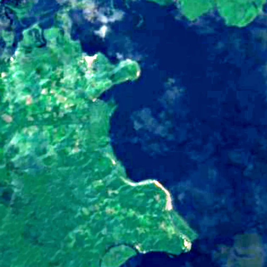 Tefé National Forest seen from above (Sentinel-2)