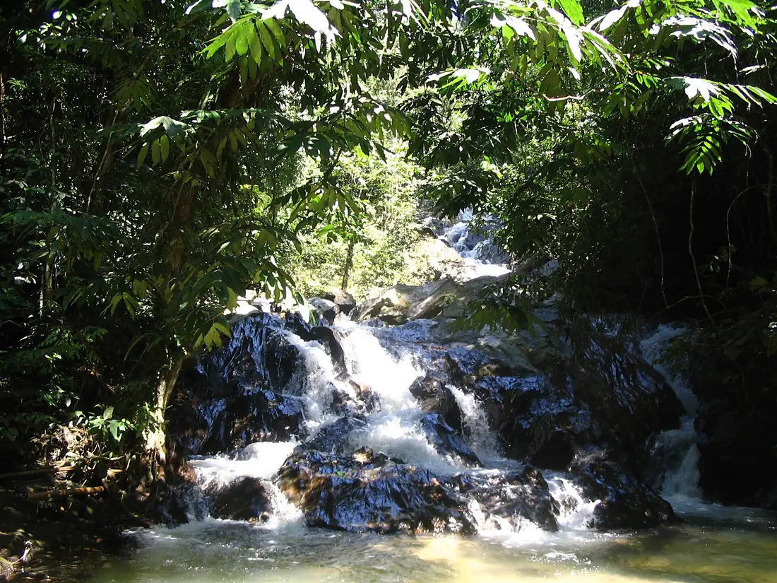 Templer Park, cascades