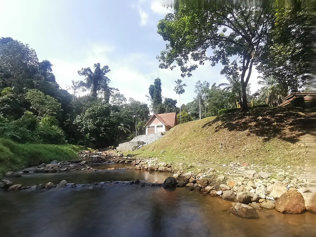 Morning at templer park