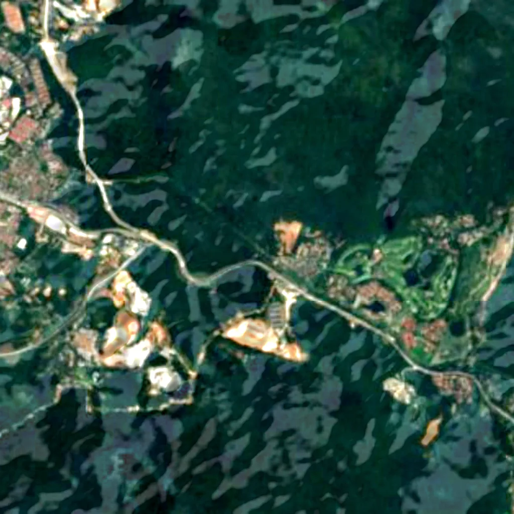 Templer's Park seen from above (Sentinel-2)
