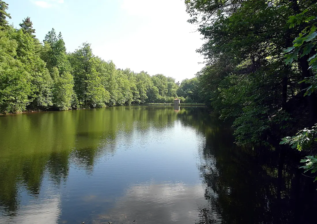 20140618110DR Tharandt Seerenteich im Tharandter Wald