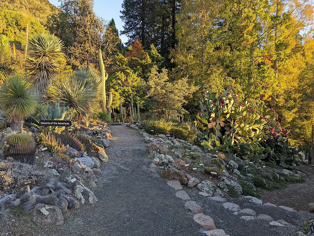 A shot in the University of California Botanic Garden, from the roof top of the garden