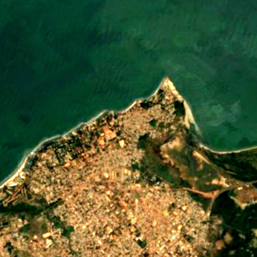 The Botanic Garden seen from above (Sentinel-2)