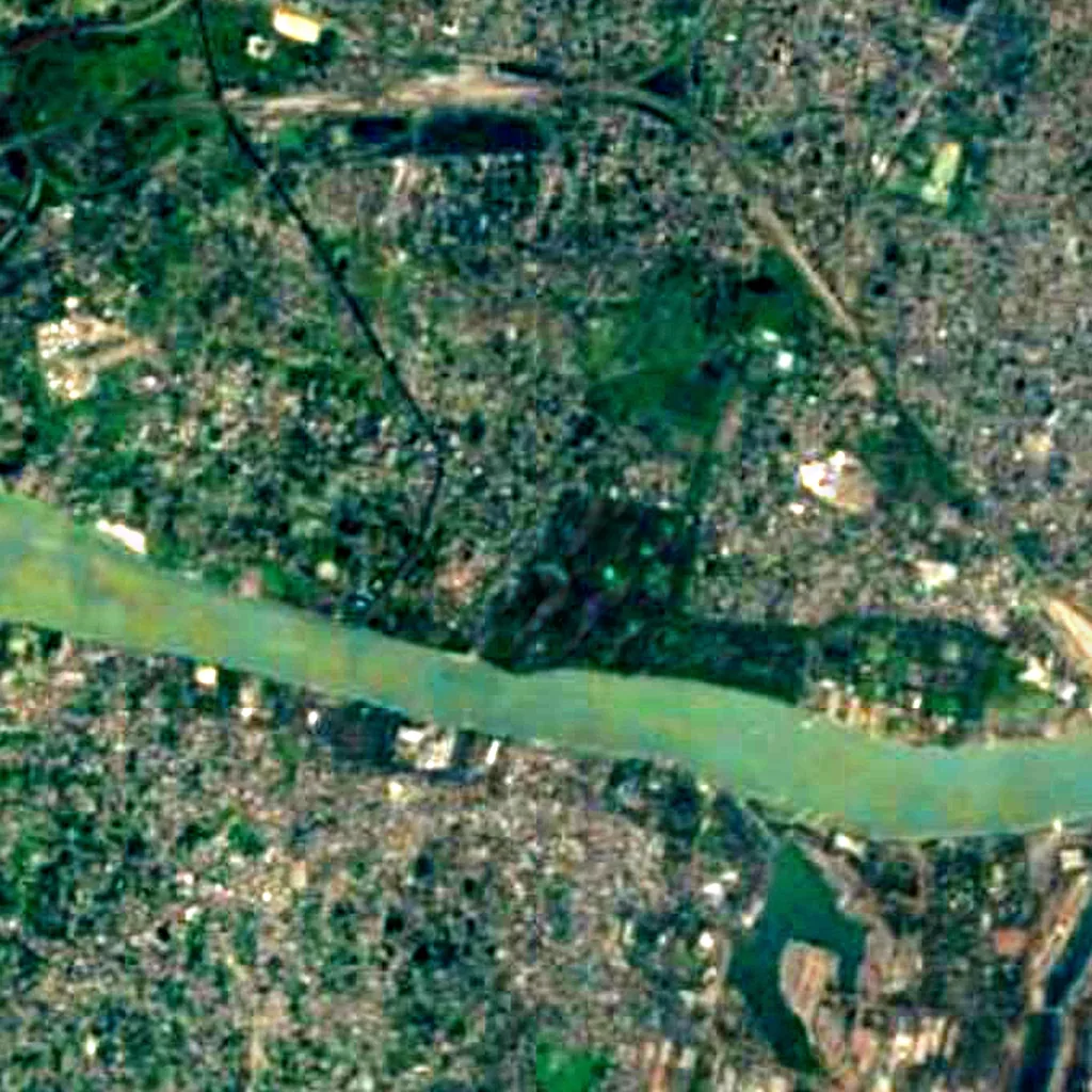 The Great Banyan seen from above (Sentinel-2)