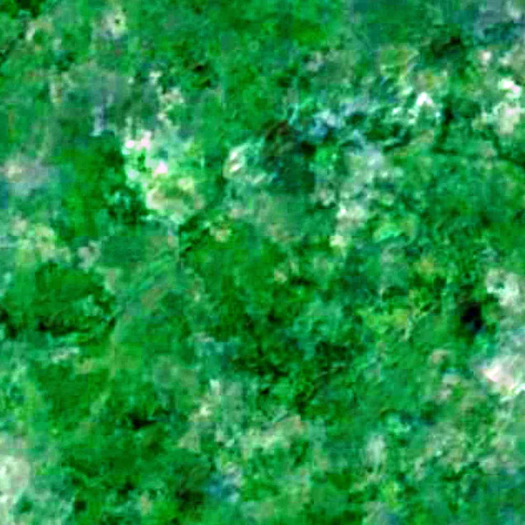 Togodo Forest Reserve seen from above (Sentinel-2)