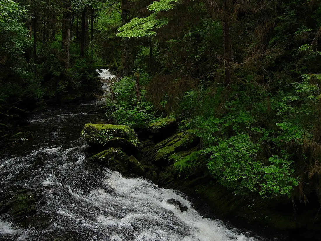 Tongass National Forest 3