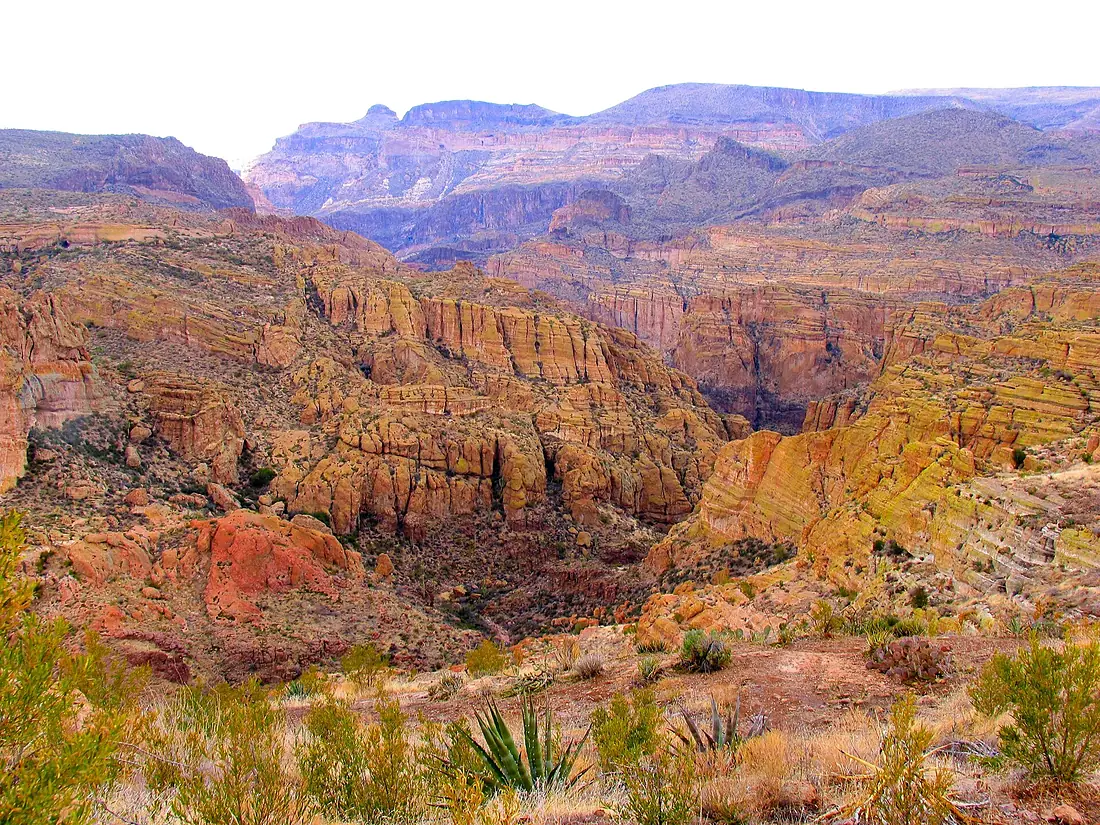 Desert Foliage And Canyon In Arizona