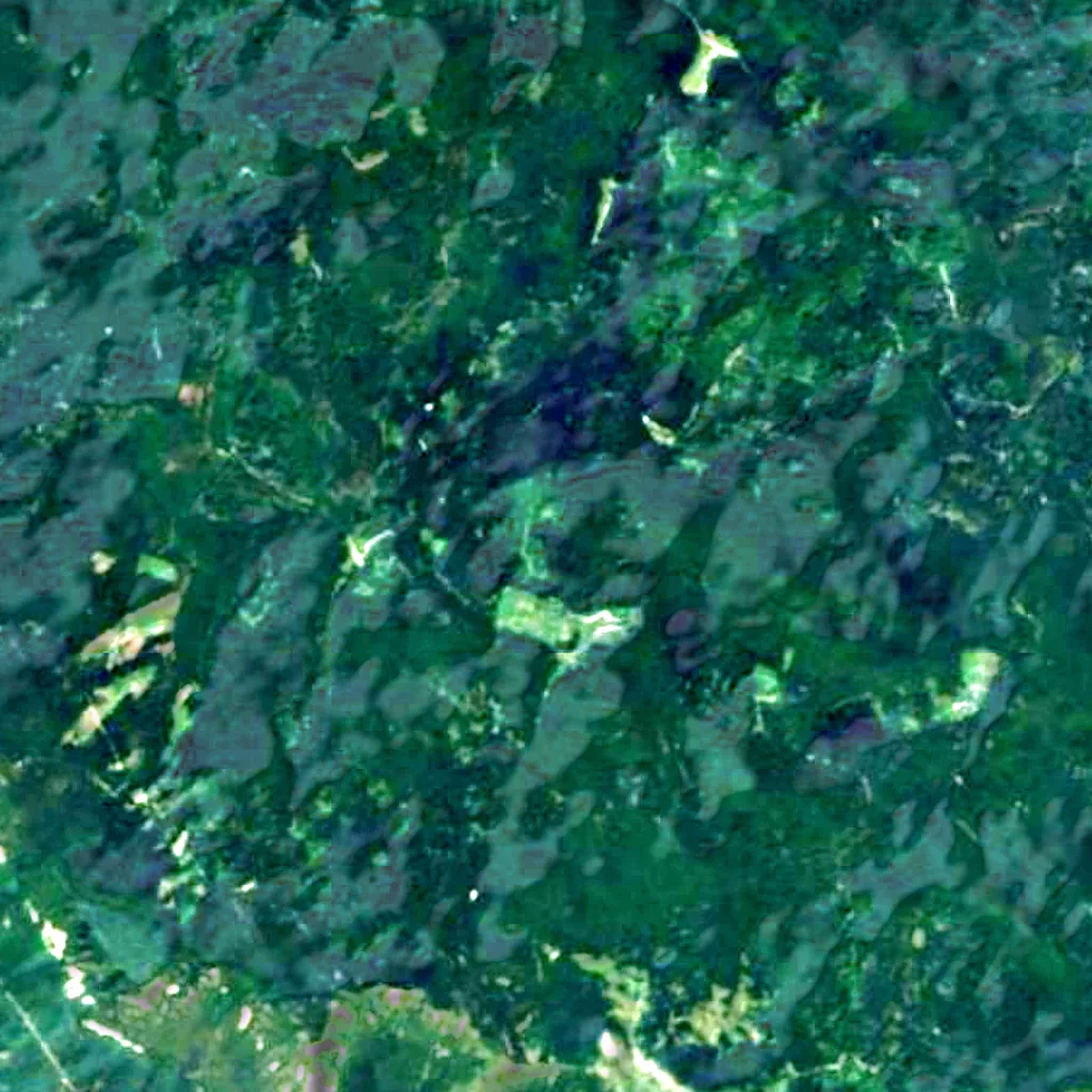 Trnovo Forest Plateau seen from above (Sentinel-2)