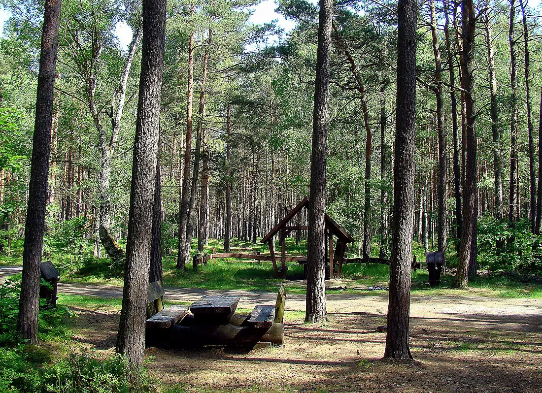 0905 Puszcza Wkrzańska AltTur ZPL