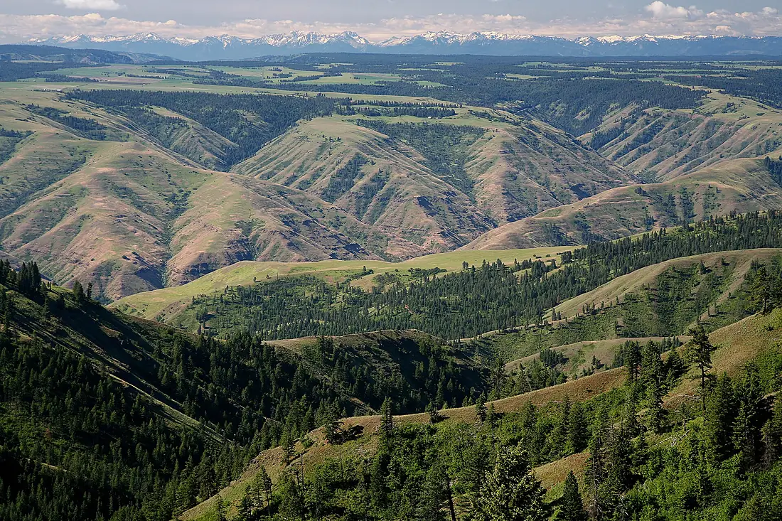 Grande Ronde River with Elkhorn Mountains-Umatilla (24852882394)