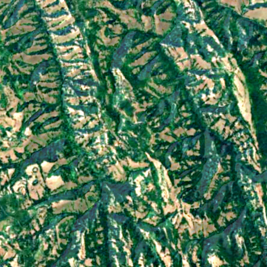 Umatilla National Forest seen from above (Sentinel-2)