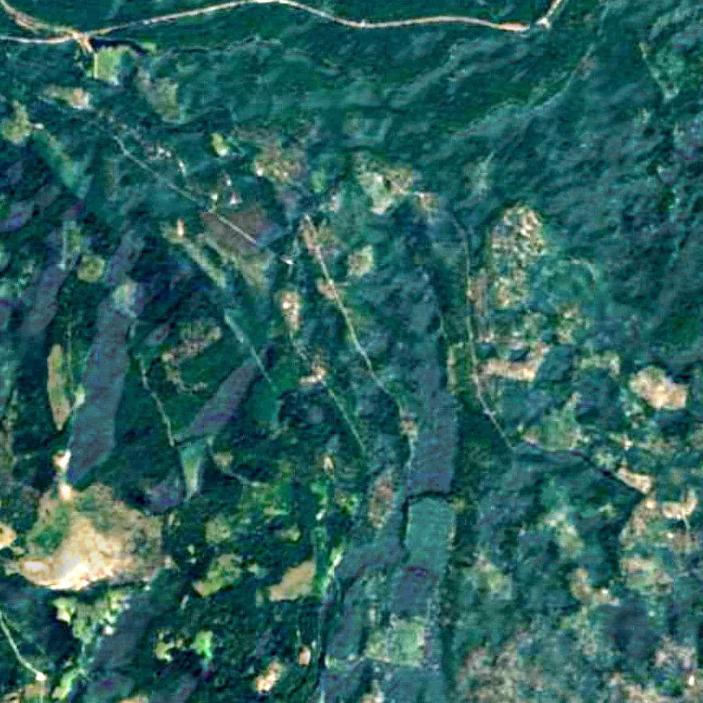 Umpqua National Forest seen from above (Sentinel-2)