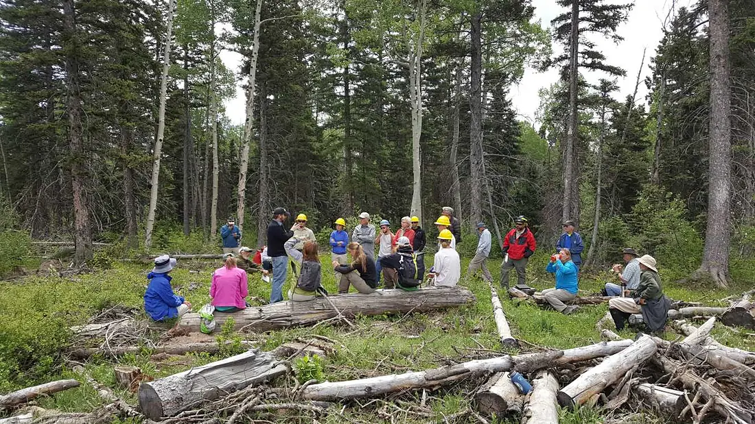 CFLRP (Collaborative Forest Landscape Restoration Program) (20190408-FS-Uncompahgre-001)