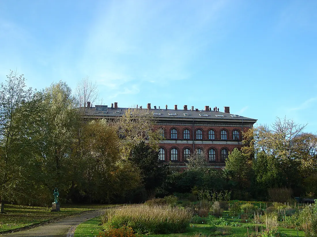 Botanisk Laboratorium - garden side