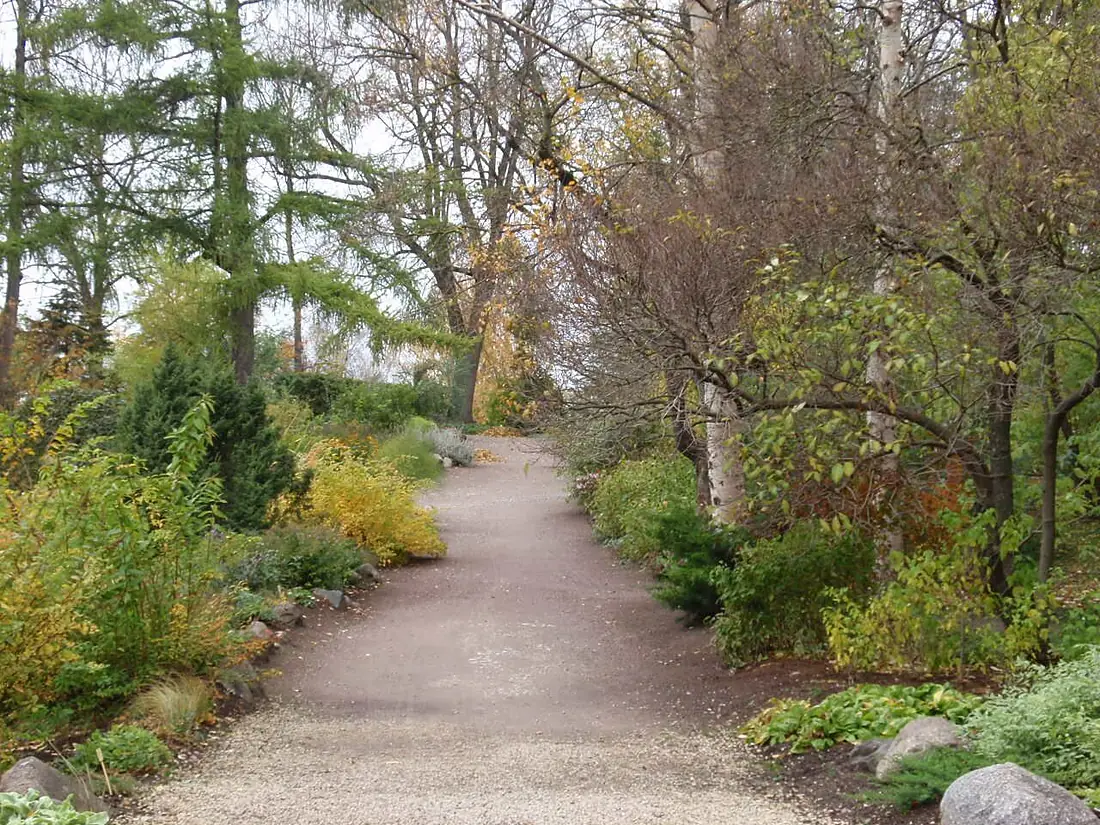 UT Botanical Garden3 2008