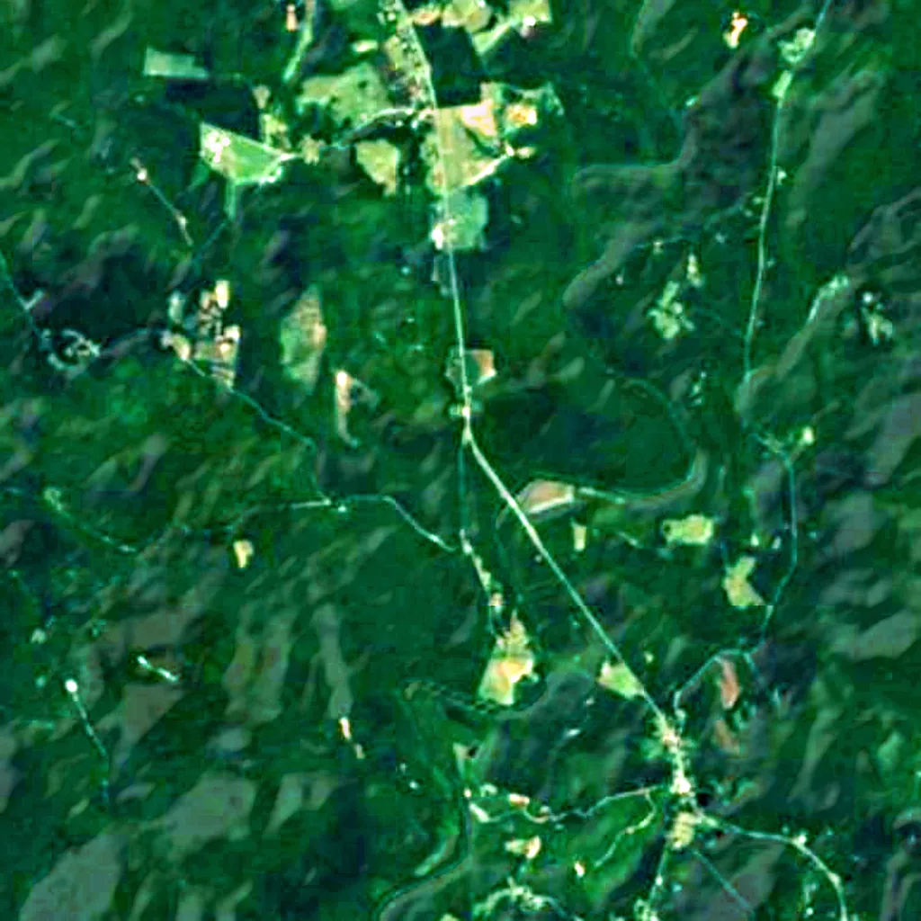 Uwharrie National Forest seen from above (Sentinel-2)