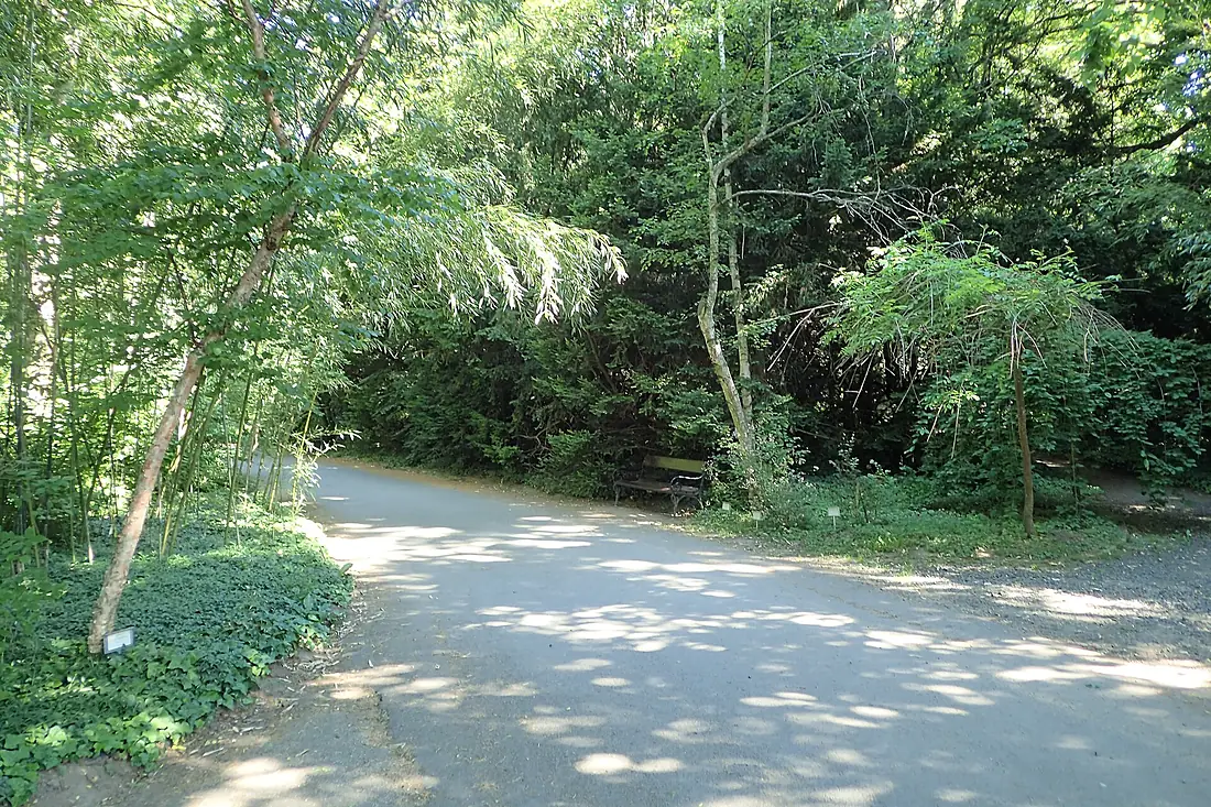 Botanical garden in Vácrátót kz01