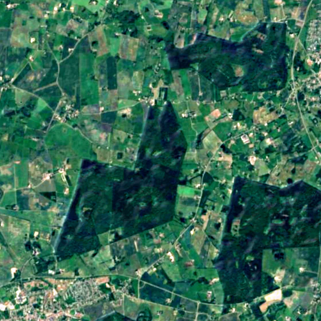 Valby Hegn seen from above (Sentinel-2)