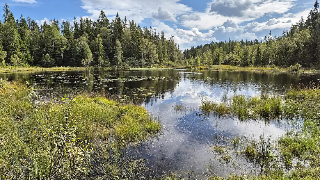 Fløyta i Vestmarka